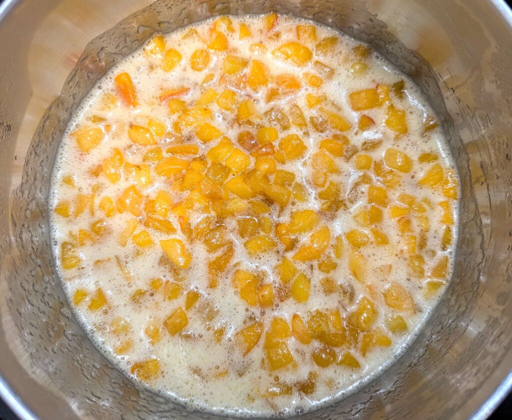 Apricot Jam Recipe Step By Step Instructions 6