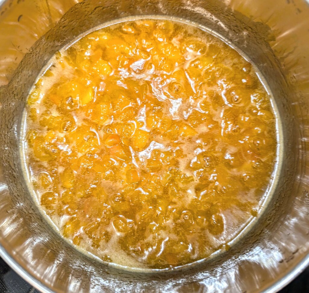 Apricot Jam Recipe Step By Step Instructions 7