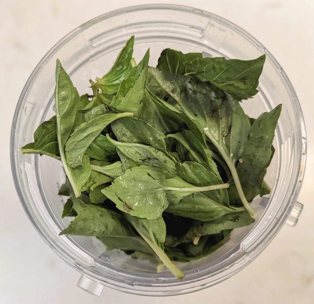 Fresh Basil Pesto Recipe Step By Step Instructions 2