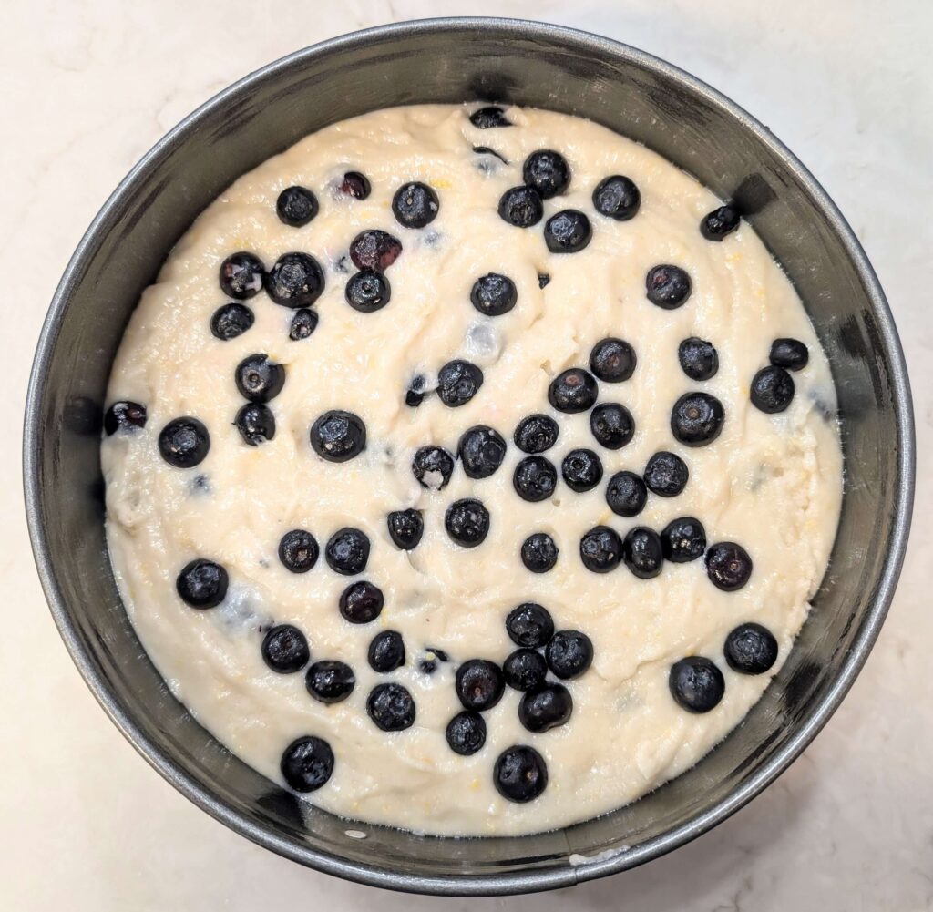 Eggless Blueberry Lemon Cake Recipe Step By Step Instructions 10