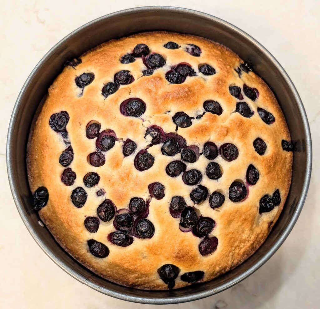 Eggless Blueberry Lemon Cake Recipe Step By Step Instructions 11