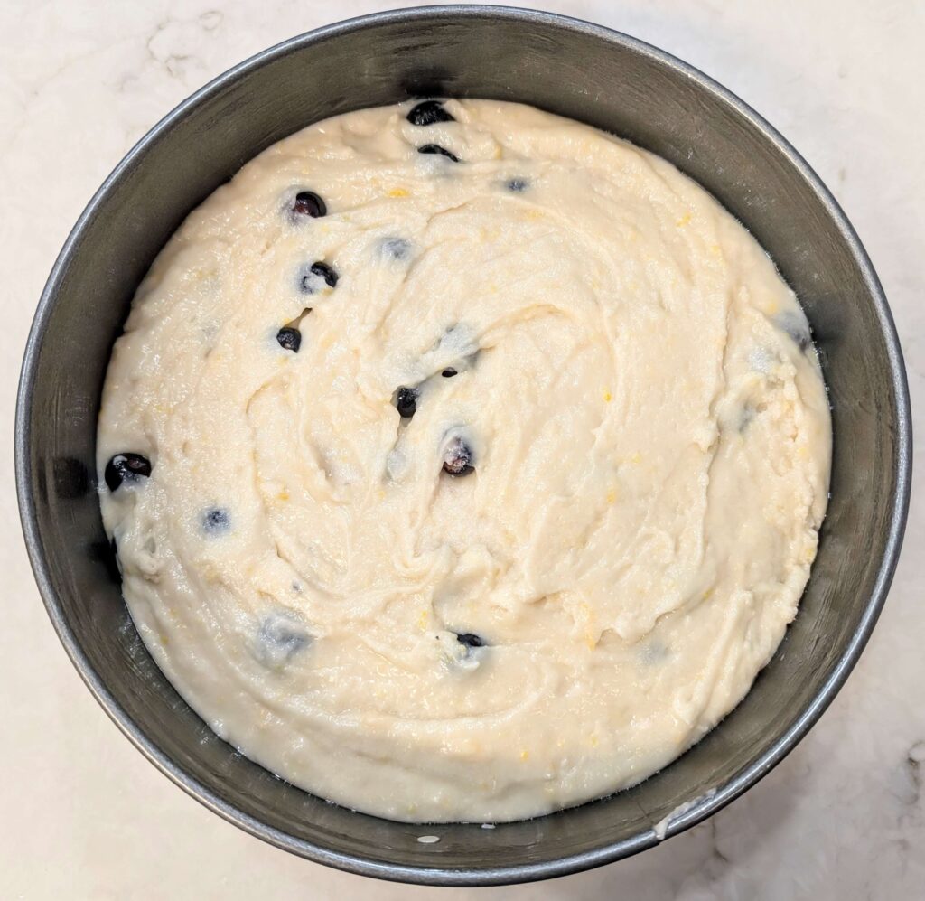 Eggless Blueberry Lemon Cake Recipe Step By Step Instructions 9